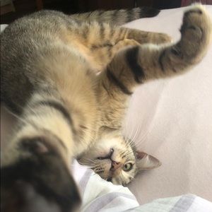 Meet your Posher, Tamia